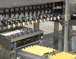 Machine d'emballage des œufs
