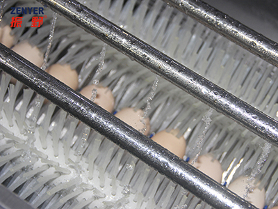Nettoyage avec brosse