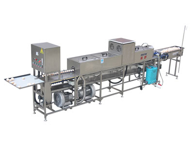 Machine à laver les œufs 200A (3000 œufs/heure)