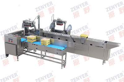 Machine à laver les œufs 204A