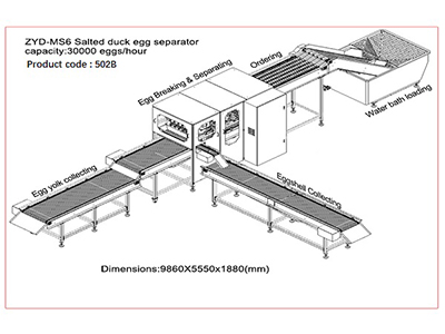 Casseuse d’œufs de canard salé 502B