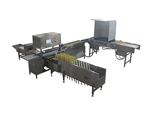 Machine d'emballage des œufs