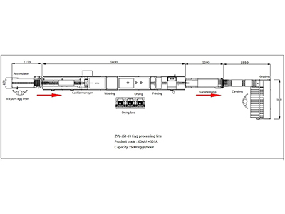 Ligne de traitement d'œufs 301A avec laveuse & calibreuse (5000 œufs/heure)