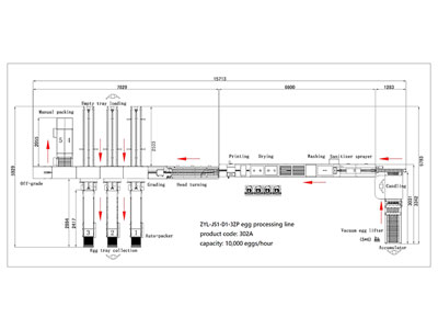Ligne de traitement d'œufs 302A avec emballeuse (10000 œufs/heure)