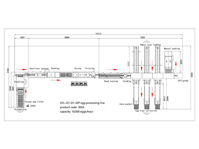 Ligne de traitement d'œufs 302A avec emballeuse (10000 œufs/heure)