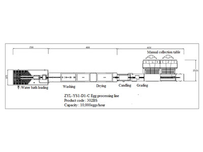 Ligne de traitement d'œufs 302BS