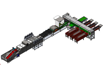 Ligne de traitement d’œufs de canard 303B avec machine de nettoyage d’œufs et calibreuse (20000 œufs/heure)
